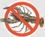 На Сумщине объявлен запрет на ловлю раков