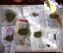 Наркотиков на 20 тыс. грн изъяли на Сумщине (Фото)