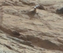 Загадочный объект на Марсе