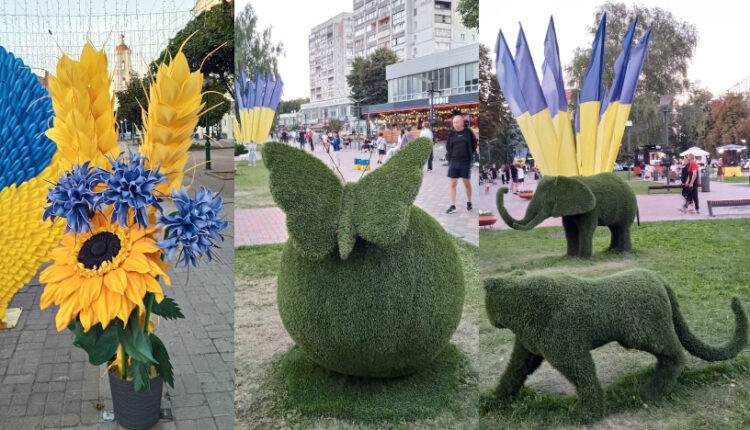 Суми_06.09.26
